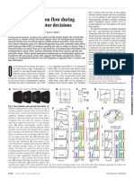 Cortical Information Flow During Flexible Sensorimotor Decisions