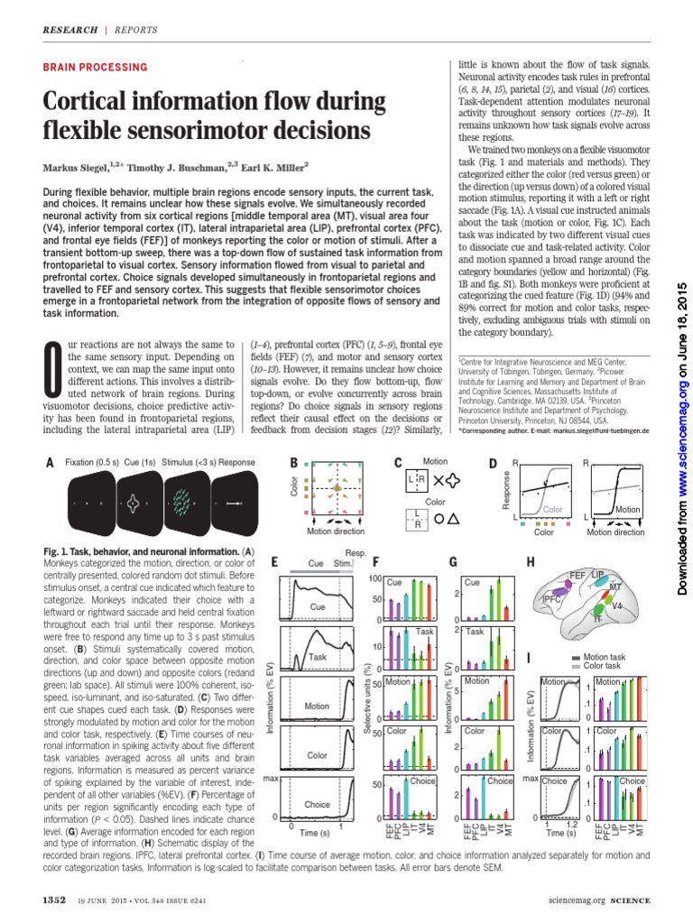 Cortical Information Flow During Flexible Sensorimotor Decisions | PDF ...