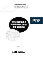 Iamundo, Eduardo. O Direito e as Classes Sociais.pdf