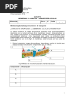 8° - Guía 1 - Membrana Plasmática