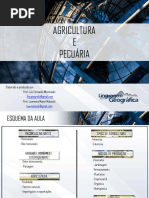 aula-agriculturaepecuria-140827183913-phpapp02.pdf