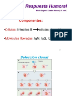 Inducción de la RIH.ppt