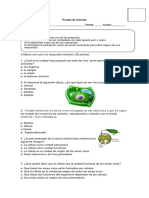 Prueba de Octavo