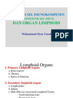 Dan Organ Limphoid: Maturasi Sel Imunokompeten (