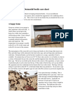 Dermestid Beetle Care Sheet PDF