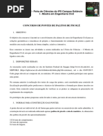 Concurso de Pontes de Palitos de Picolé-2
