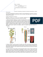 TALLER 2.doc