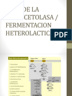 3 - Sistema Fosfocetolasa