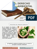 Principios Del Derecho Ambiental