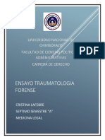 Ensayo Traumatologia Forense