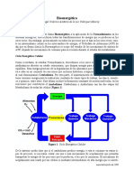 bioenergetica teoria larga.pdf