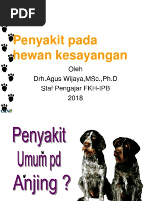 Format Surat Izin