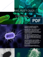 Pelos Bacterianos