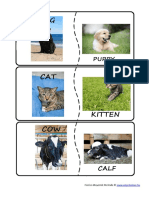 animalsbabies.pdf
