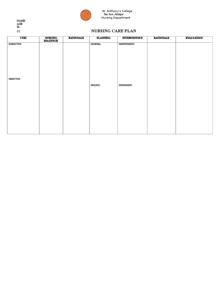 Nursing Care Plan Template | PDF | Health Care | Health Sciences