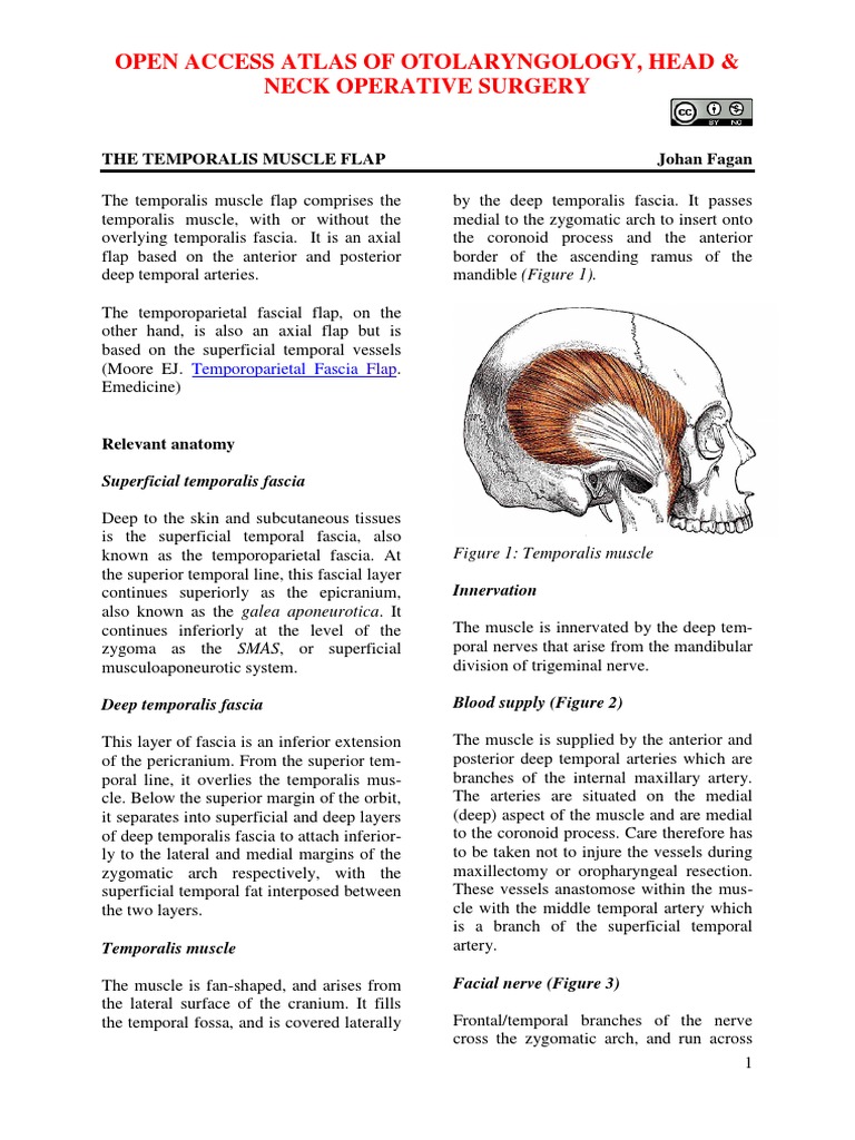 Temporalis Muscle Flap-1 | Download Free PDF | Human Anatomy ...