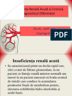 1. Insuficienta Renala Acuta si Cronica.ppt