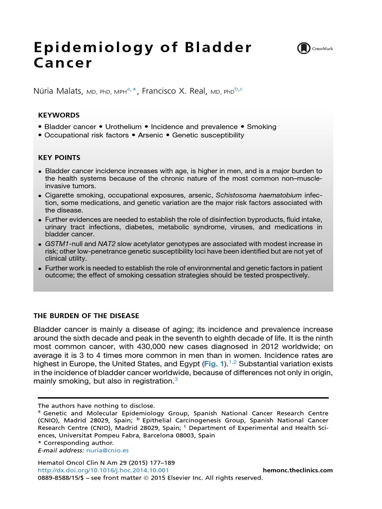 Epidemiology of Bladder Cancer PDF Tobacco Smoking Addiction