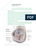 Lecture 1. Anatomy The Female Genital Organ