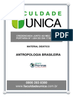 Antropologia Brasileira PDF