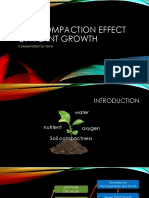 Soil Compaction Effect On Plant Growth