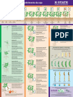 Fases de Desenvolvimento Da Cultura Do Milho (K-State)