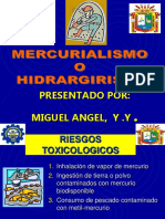 Presentado Por: Miguel Angel, Y .Y