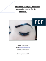 Guia para Curso de Cejas