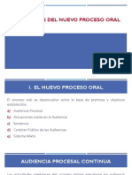 Caracteres del nuevo proceso oral