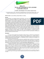 Degradação Da Qualidade Da Água Do Rio Tamanduateí, SP