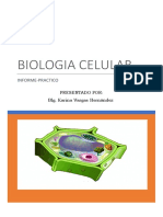 Informe Practico de Biologia Celular Agronomia