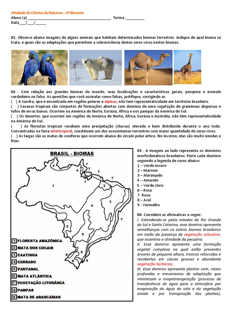 Biomas do Brasil worksheet for 7º ano