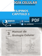 Filipinos Capítulo 3 PDF