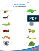 8.Match-Insects.pdf