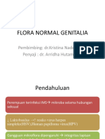 Flora Normal Genital