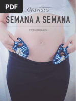 Gravidez Semana a Semana