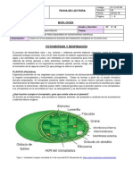 Ficha de Lectura 1 - 2do Bimestre