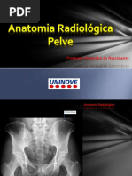 Anatomia Radiológica Pelve.pdf