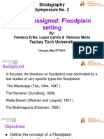 Theme Assigned: Floodplain Setting: Stratigraphy