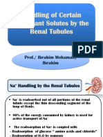 Handling of Certain Important Solutes by The Renal Tubules: Prof./ Ibrahim Mohamady Ibrahim