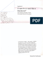 O Que e o Que No Literatura - Anco Mrcio Tenrio Vieira PDF