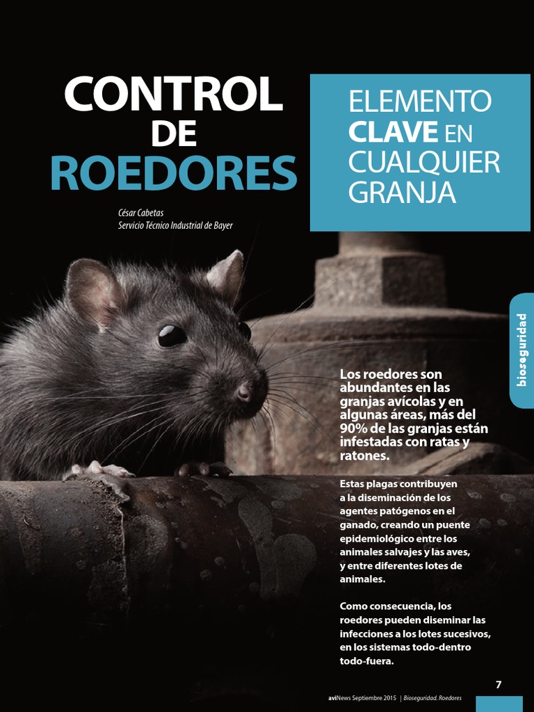Control de Roedores en Granjas Avícolas | PDF | Roedor | Salud y bienestar