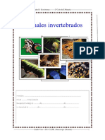 Plan 07 Animales Ok 2011 PDF