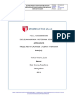 Monografia de Rpocesal Civil - Retracto