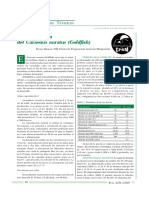 10 SISTEMA DE CRIAS.pdf