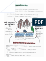 Mapa Mental Urbanização