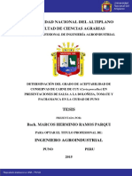 Ramos Parqui Marcos Herminio PDF