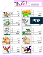 Pets Esl Vocabulary Multiple Choice Worksheet for Kids