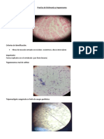 Leishmania y Trypanosoma