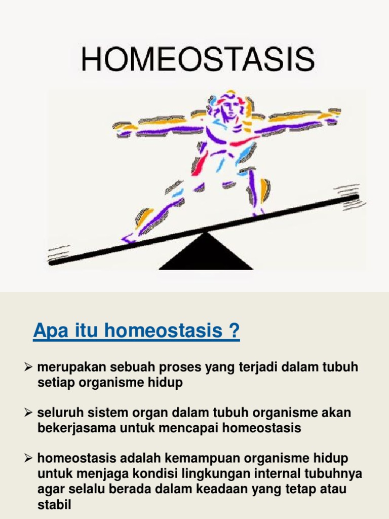 Homeostasis Pdf